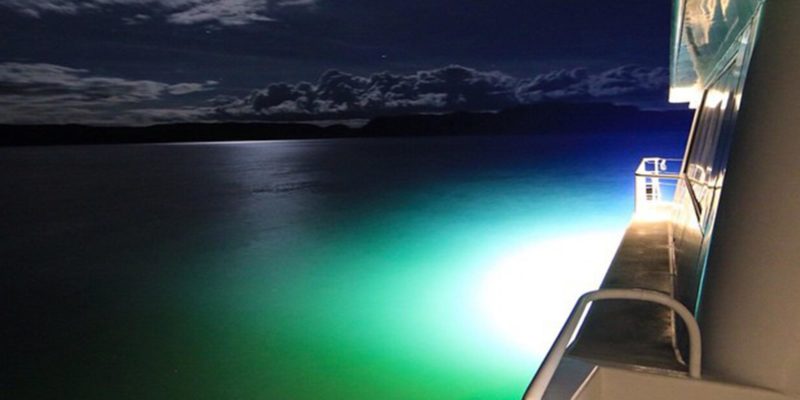 Experience Night Diving