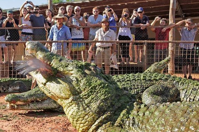 Things To Do In Broome Malcolm Douglass Wilderness Park